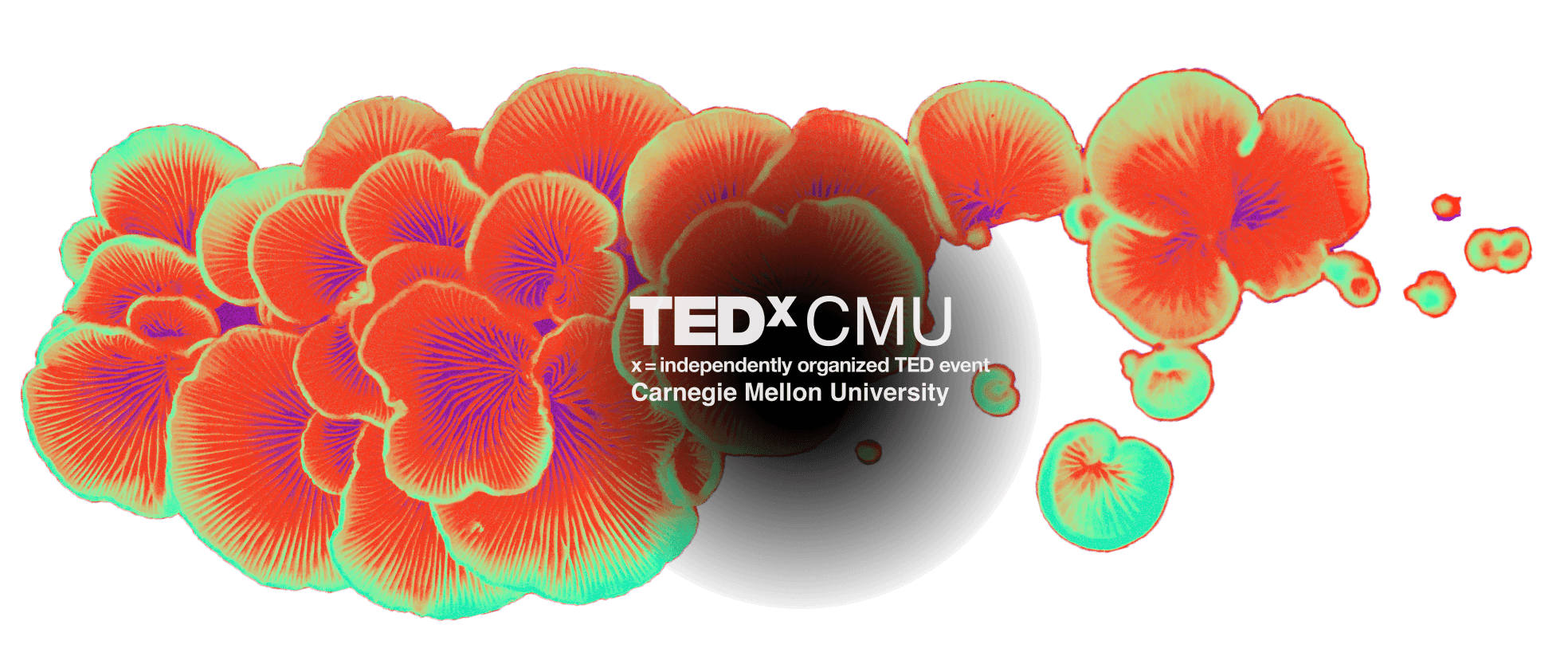 TEDxCMU Momentum Graphic